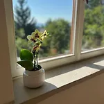 Bellevue Apartment