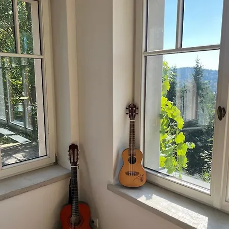 Appartement Bellevue