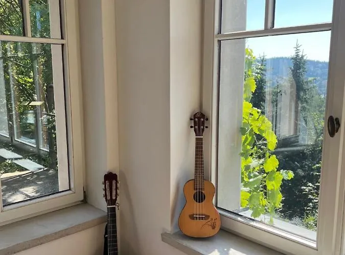 Apartment Bellevue